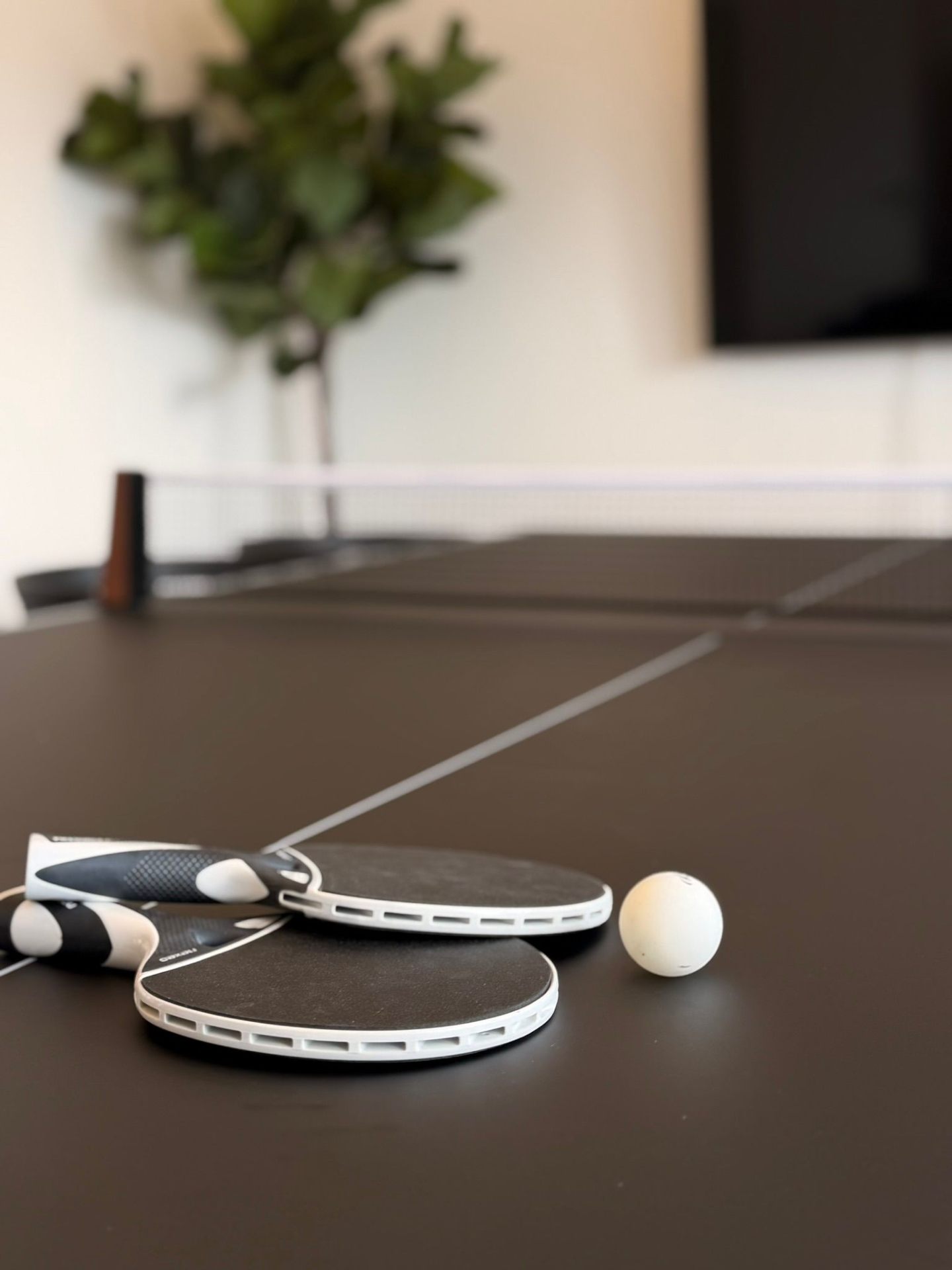 Bordtennis & pauser